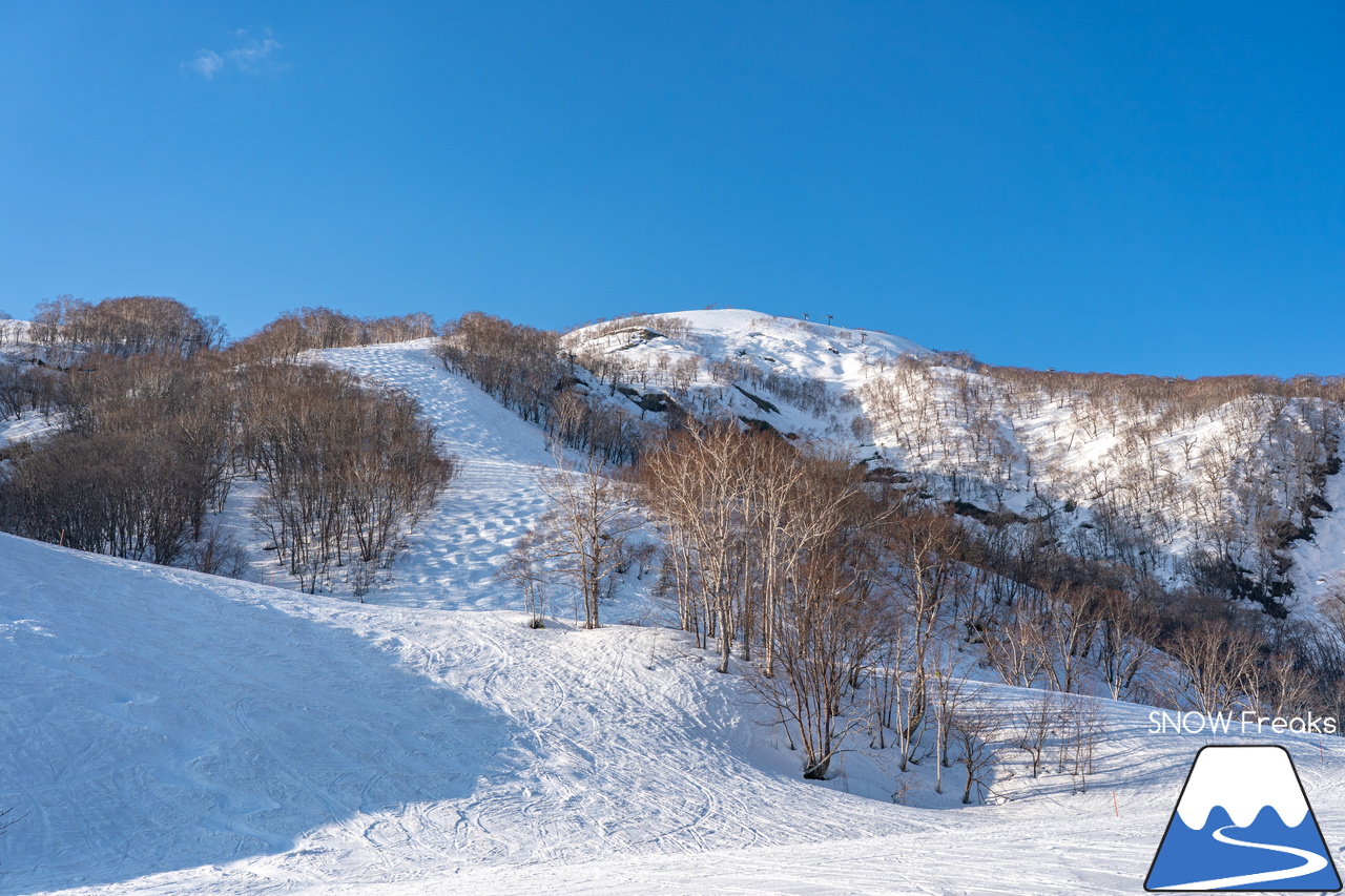 ニセコビレッジ・ニセコアンヌプリ国際スキー場｜さすが『ニセコ』。雪不足や暖気とは無縁？！積雪たっぷりで全面滑走OKです(^^)/